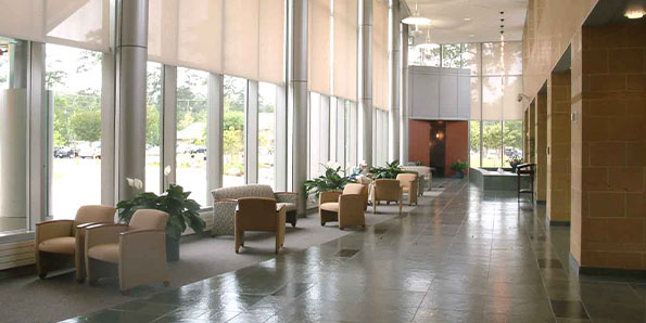 STHS | Patients and Visitors - St. Tammany Health System