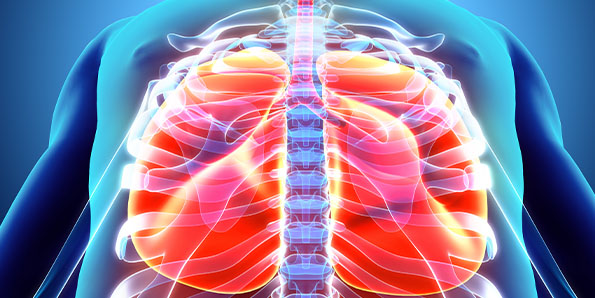 Northlake Pulmonary